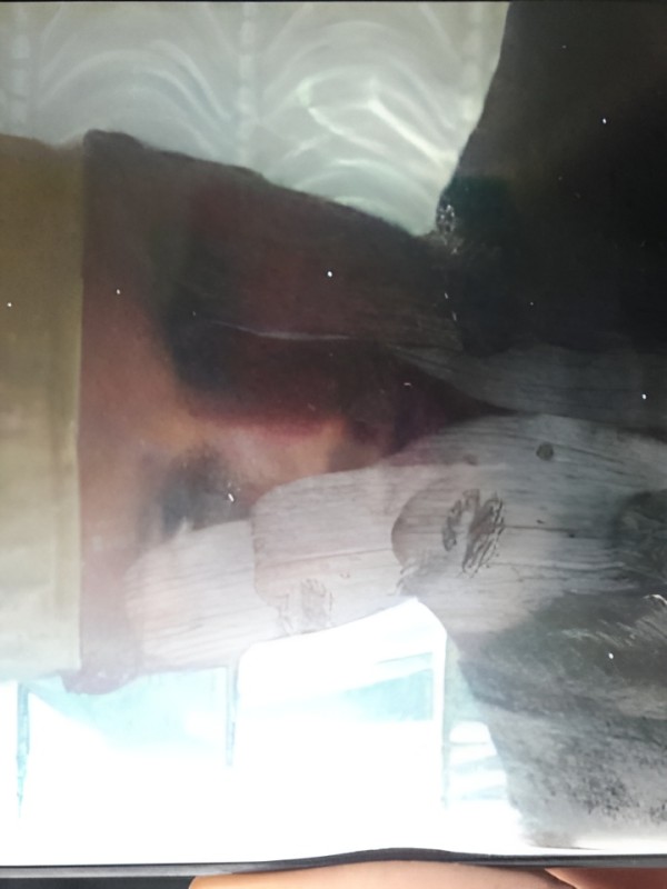 Тамара из Шимановска